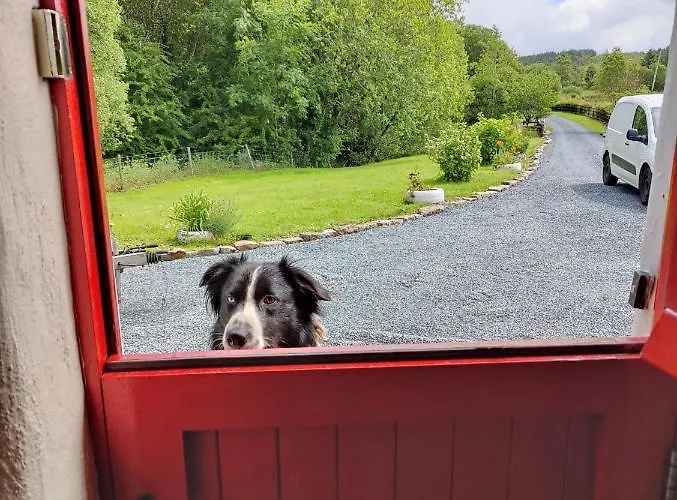 Semesterbostad Carraun Manorhamilton